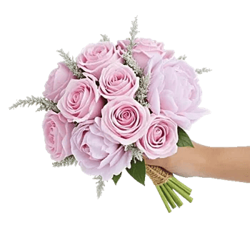 Pastel Pink Roses
