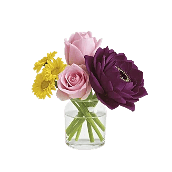 Petal Radiance Bliss