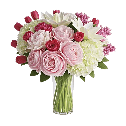 Petal Radiance Bliss