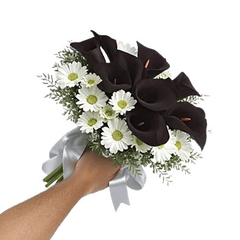 Elegant Calla Lilies