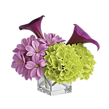Graceful Lily Display