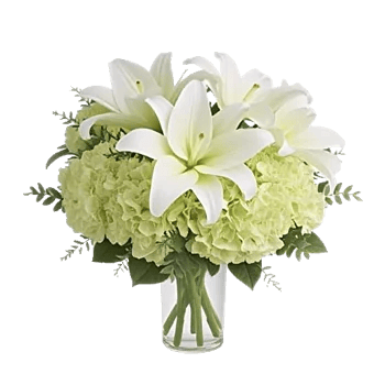 Ivory Blossom Radiance