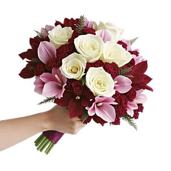 Elegant Calla Lilies