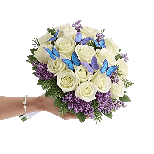 Blushing Rose Symphony