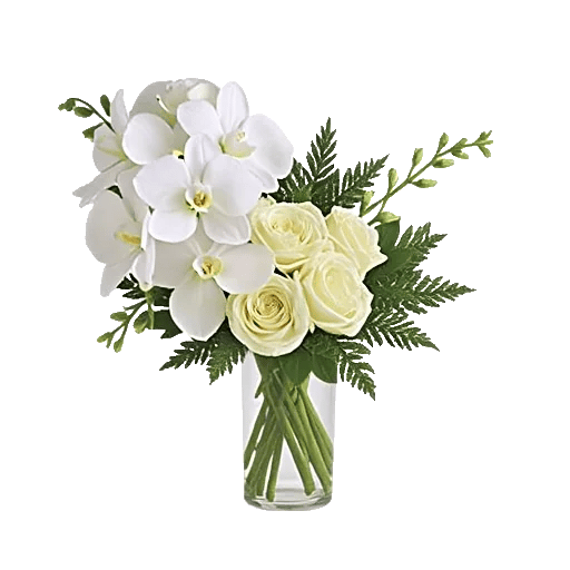 Minimalist White Orchids