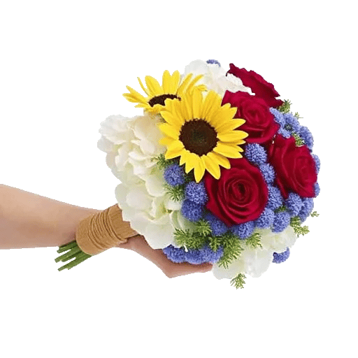 Twinkling Sunflower Dance