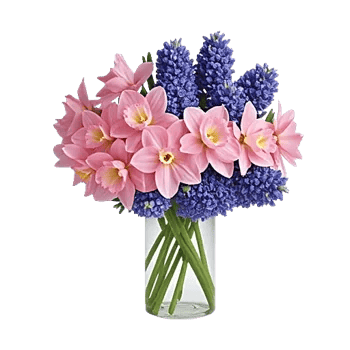 Ivory Blossom Radiance