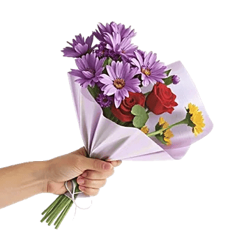 Blossom Petal Serenity