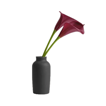 Elegant Calla Lilies
