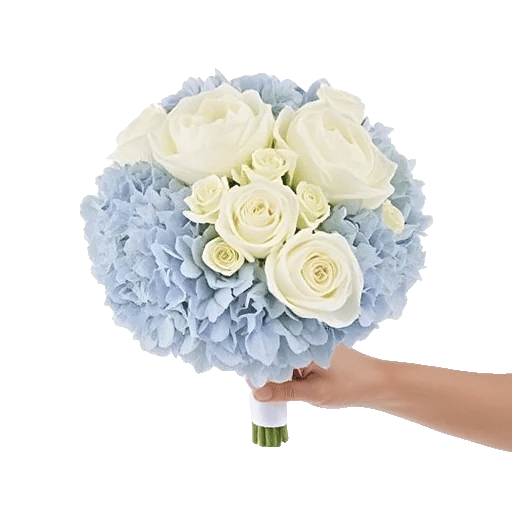 Serene Petal Harmony