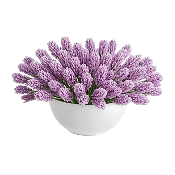 Lavender Bloom Grace
