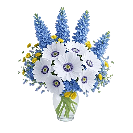 Elegant Blue Roses