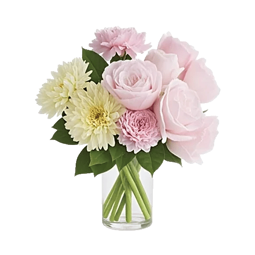 Ivory Blossom Radiance