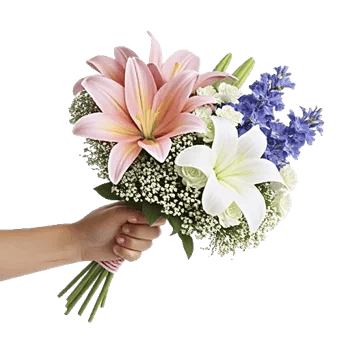 Blossom Petal Serenity