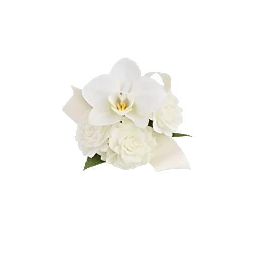 Minimalist White Orchids