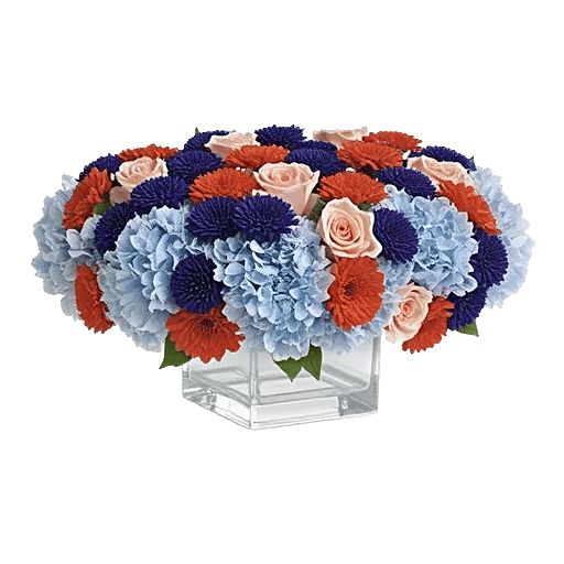 Sapphire Bloom Whisper