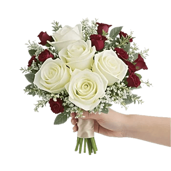 Delicate Petal Cascade