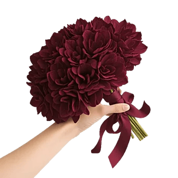 Ivory Blossom Radiance