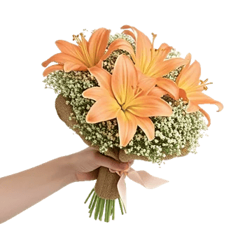 Blossom Harmony Display