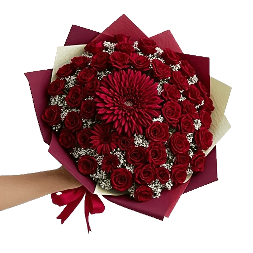 Crimson Rose Elegance