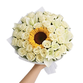 Blossom Harmony Display