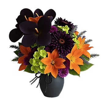 Modern White Orchids