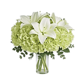 Graceful Lily Display