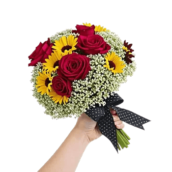 Crimson Rose Elegance