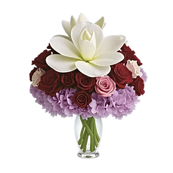 Orchid Bloom Cascade