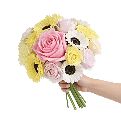 Pastel Pink Roses