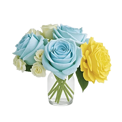 Radiant Rose Symphony