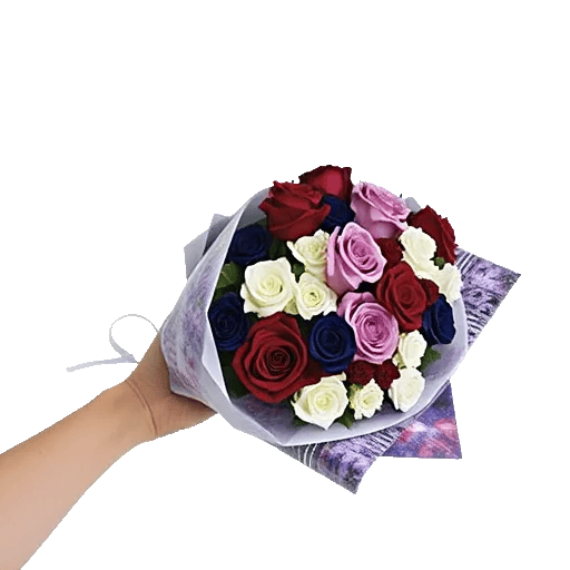 Crimson Rose Elegance