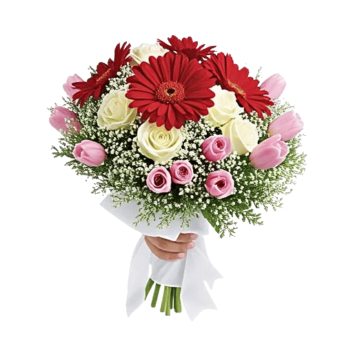 Crimson Rose Elegance