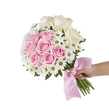 Pastel Pink Roses