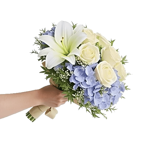 Ivory Blossom Radiance