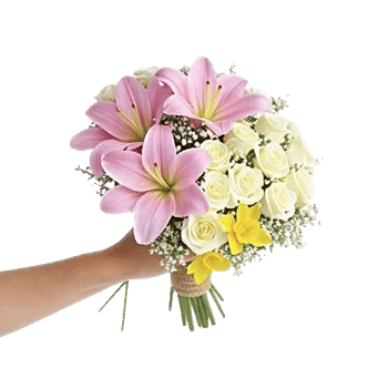 Blossom Harmony Display