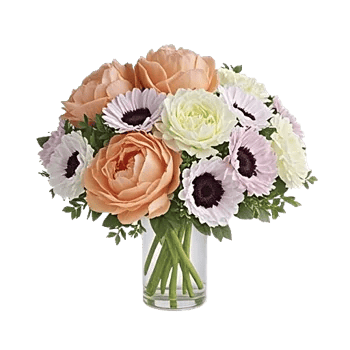 Petal Radiance Bliss