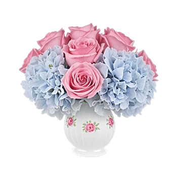 Pink Pastel Roses