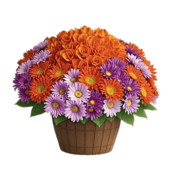 Petal Radiance Bliss