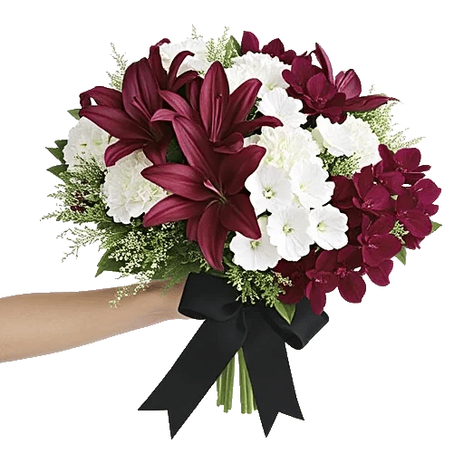 Elegant Calla Lilies