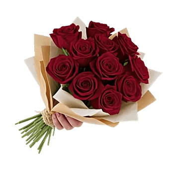 Crimson Rose Elegance