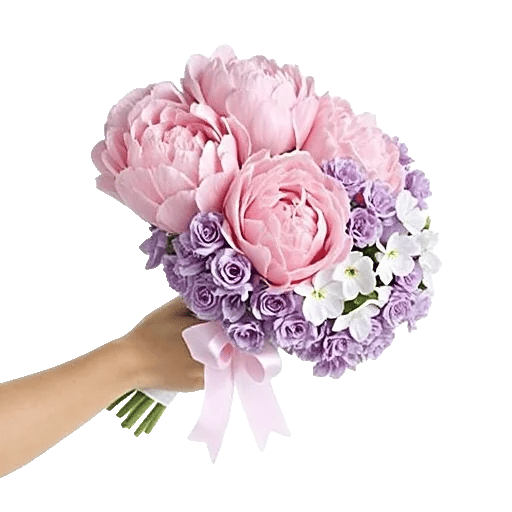 Peony Petal Harmony