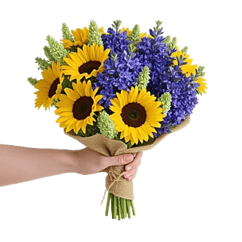 Twinkling Sunflower Dance