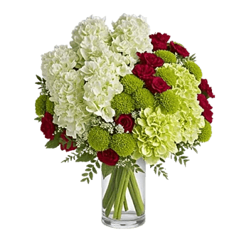 Ivory Blossom Radiance