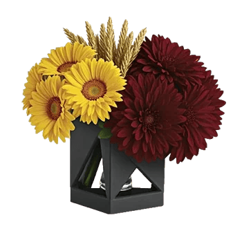 Golden Petal Harmony