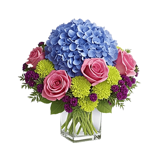 Serene Garden Harmony