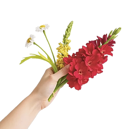 Blossom Harmony Display