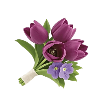 Velvet Tulip Display