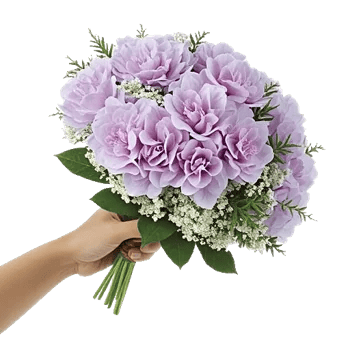 Serene Petal Harmony