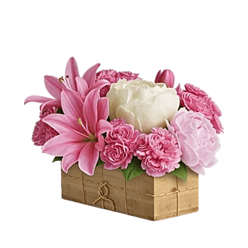 Graceful Lily Display
